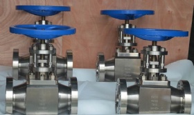 Titanium Globe Valves